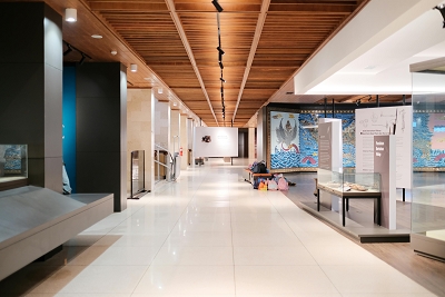 pexels-cripsdog-29608796